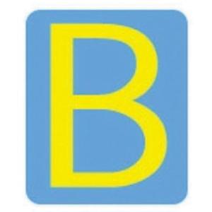 Quick-Align® Individual Gothic Number and Letter Labels - B, Yellow, 2"