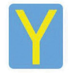 Quick-Align® Individual Gothic Number & Letter Labels - Y, Yellow, 2"