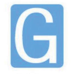 Quick-Align® Individual Gothic Number and Letter Labels - G, White, 2"