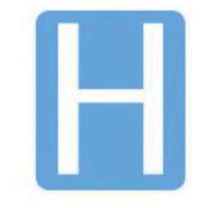 Quick-Align®Individual Gothic Number and Letter Labels - H, White, 2"