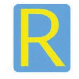 Quick-Align® Individual Gothic Number & Letter Labels - R, Yellow, 3"