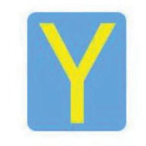 Quick-Align® Individual Gothic Number & Letter Labels - Y, Yellow, 3"