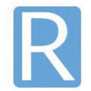 Quick-Align® Individual Gothic Number & Letter Labels - R, White, 3"