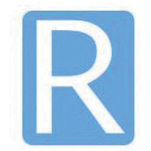 Quick-Align® Individual Gothic Number & Letter Labels - R, White, 3"