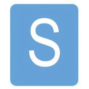 Quick-Align® Individual Gothic Number & Letter Labels - S, White, 3"