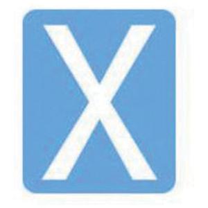 Quick-Align® Individual Gothic Number & Letter Labels - X, White, 3"