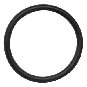 Locking Ring - 0.210" x 2.15" OD