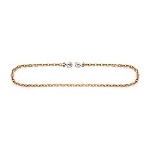 Binder Chain with Clevis Grab Hooks - 20' (6.096 m), 1/2", 11300 lbs. (5.65 tons), 70