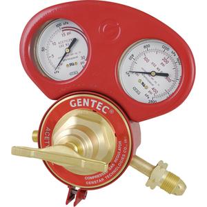 153 Series - Gauge Protectors