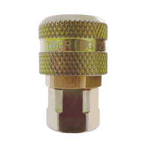 Automax ARO 210 Interchange Couplers - Brass/Stainless Steel/Zinc Plated Steel, 1/4", 250