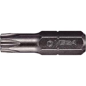 Tamper Insert Bit - Torx®, 1/4", 5, 6, 1, 8, 9, 10, 15, 20, 25, 27, 30, 40, 45, 1", Gunmetal Grey