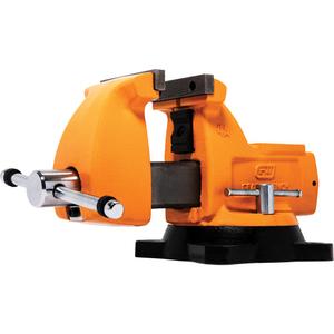 Mechanic's Bench Vise with Anvil - 4", 8.7", 12.2", Lifetime Warranty, Molten Orange & Black