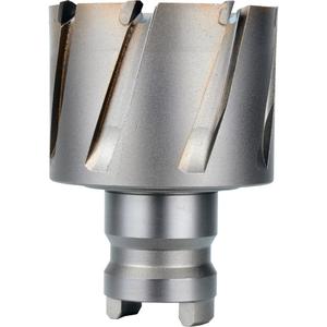 Quick Change Tang Drive Hawg® Cutter - Steel, 2", 1"