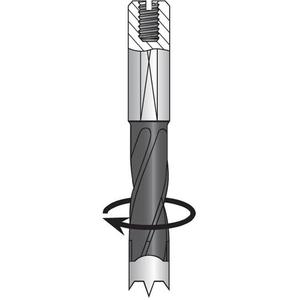 Dowel Drill - Carbide, 7 mm, 2-3/4"
