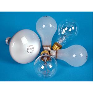 Incandescent Lamps - Long Life - 25 W, 2500 hrs., 2850 K, 130 V, 180, A19, Medium, Inside Frost, 4/Pkg