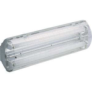 Illumina® BS100 Series Vapor-Tight Light - Polycarbonate, 120 V, 120