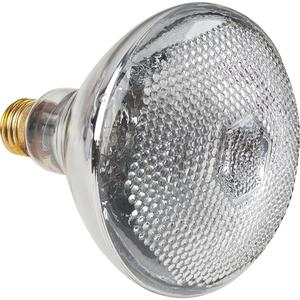 Economy Line Incandescent Lamps - 120 V, 5000 hrs., 100 K, 130 V, BR38, E27, 100, Incandescent BR38 flood, 2, Package