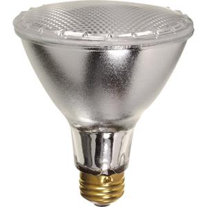 Economy Line Lamps - 75 W, 5000 hrs., 97 K, 120 V, PAR30, E27, 97, Halogen PAR30 flood, 1, Package