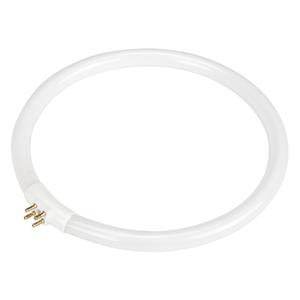 Replacement Fluorescent Bulb for Rhinomag Illuminated Magnifiers - 22 W, 5-15/16", 6-15/16"