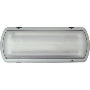Tempesta™ Emergency Luminaires - Plastic, LED, 120 - 347 V, Gray, 120 - 347 V, 17 W, 17"