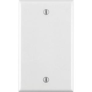 Blank Wall Plate - White, Blank, 1, Thermoplastic, Indoor
