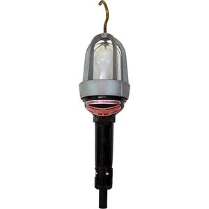 Hazardous Location Handlamp - LED, 20 W, 2400