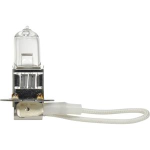 H3 Basic Fog Bulb - 70 W, Halogen, Off White, 24 V