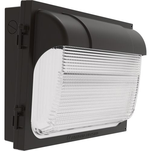 TWX Wall Luminaire - LED, 480 V, 9 W - 54 W, 14", 18", 5", 50K, 1,450 – 6,850