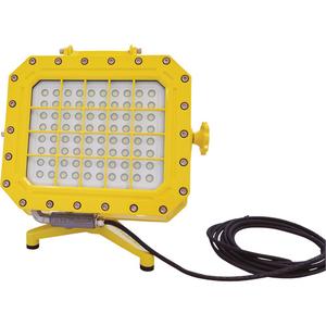 Explosion Proof Floodlight with Floor Stand - LED, 5600, 40 W, Aluminum