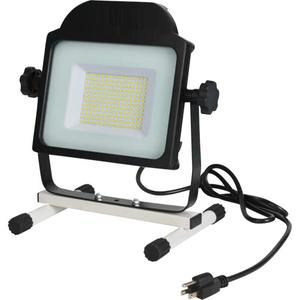 Floodlight - LED, 10000, 100 W, 1.8 m, IP65-rated, 120 V