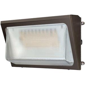 Wall Pack Light Fixture - LED, 120 -347 V, 40 W
